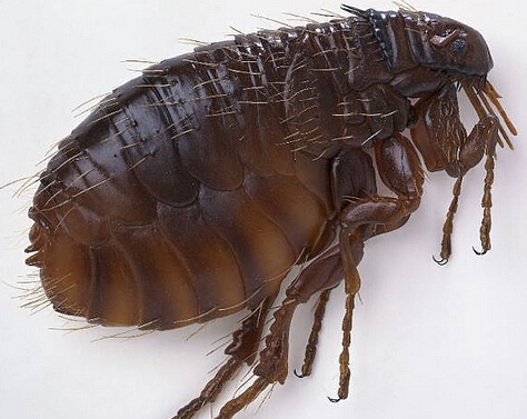 1539692336717167.jpg 2014110809355912.jpg