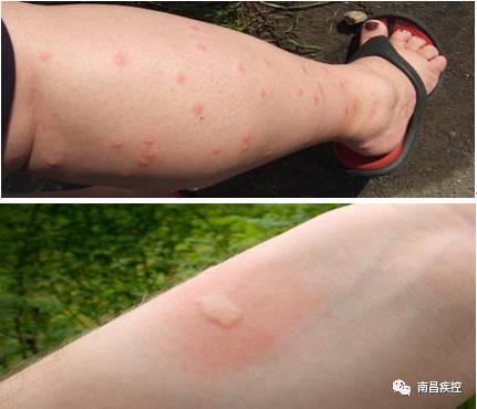 1538541290367233.jpeg 77f811cc3be24d20b5b0298eaf164738.jpeg