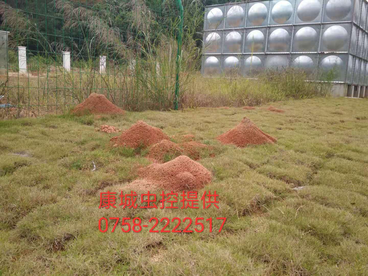 1552635217140150.jpg b262e708b001526e0882621a7d904ce.jpg